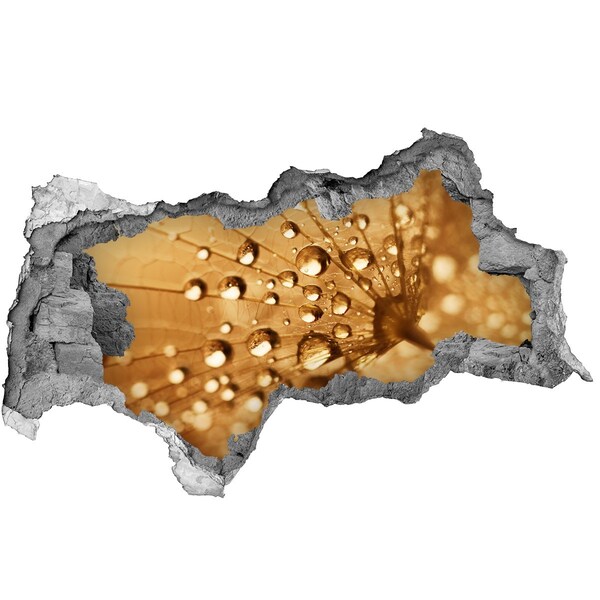 Samolepiaca nálepka fototapeta Kvapky na liste