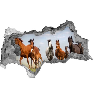 Diera 3D fototapeta nálepka Cválajúca kone