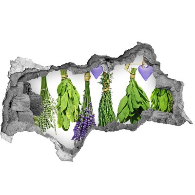 Nálepka 3D diera samolepiaca Bylinková záhrada Diera v stene