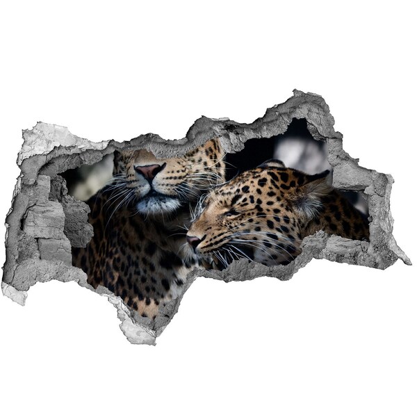 Diera 3D fototapeta na stenu Dva leopardy