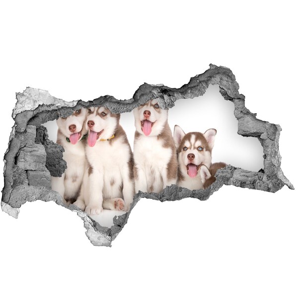 Diera 3D fototapeta nálepka Husky šteňatá