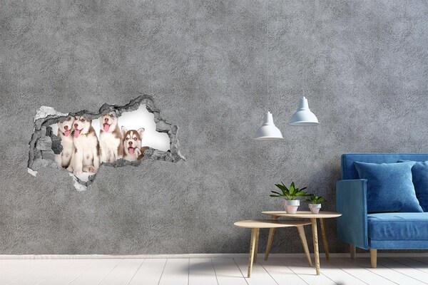 Diera 3D fototapeta nálepka Husky šteňatá