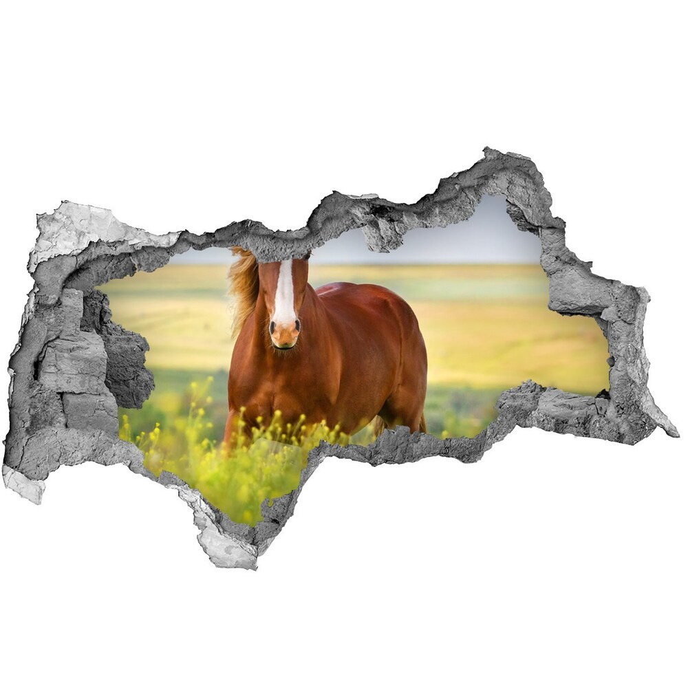 Diera 3D fototapeta nálepka Hnedý kôň