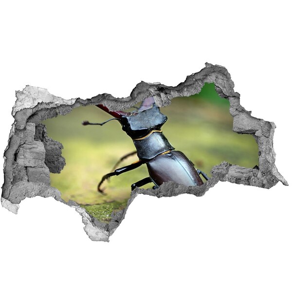 Diera 3D fototapeta na stenu Tvor z lesa