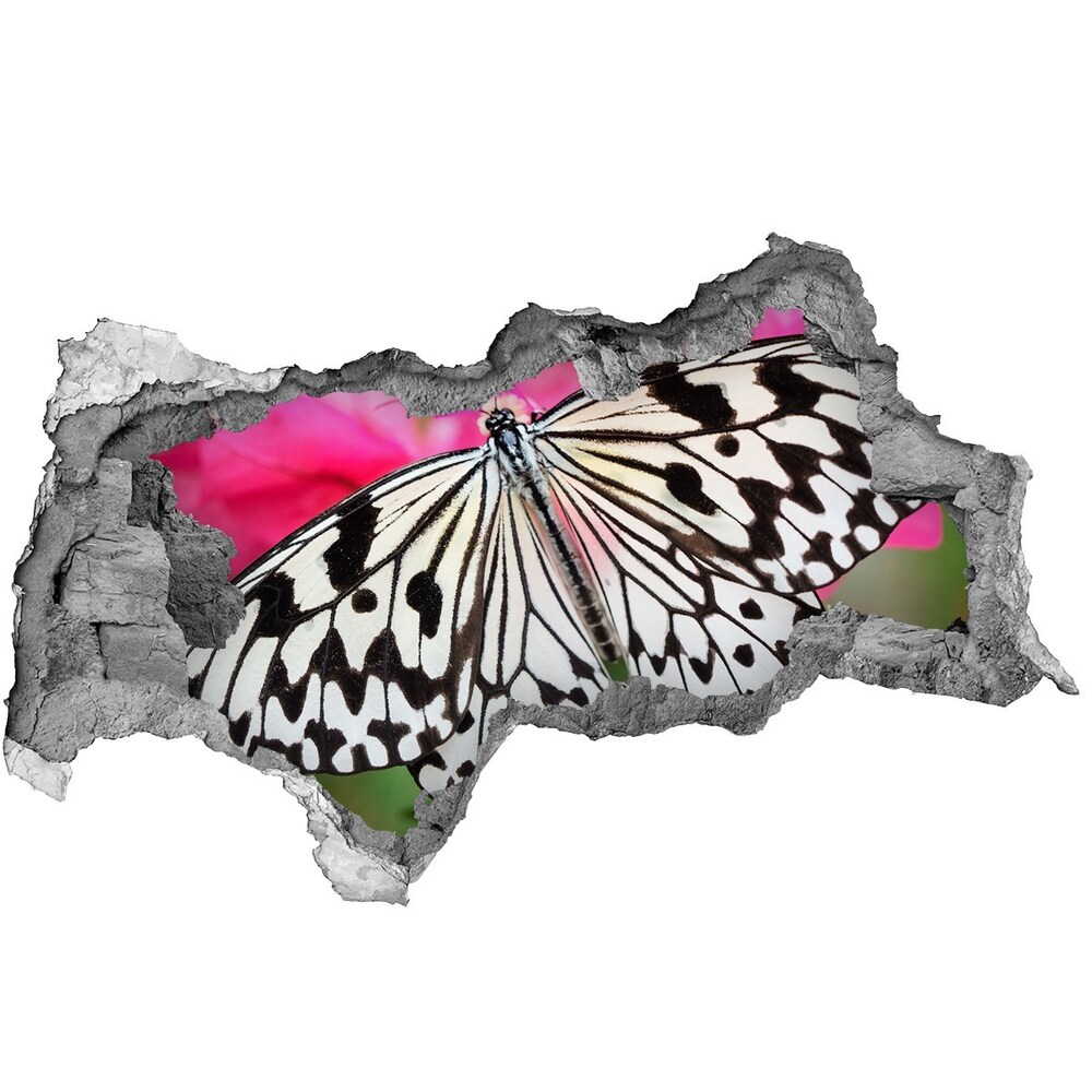 Diera 3D fototapeta nálepka Motýľ na kvetine