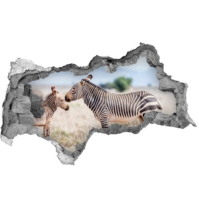 Diera 3D fototapeta na stenu Zebry v horách