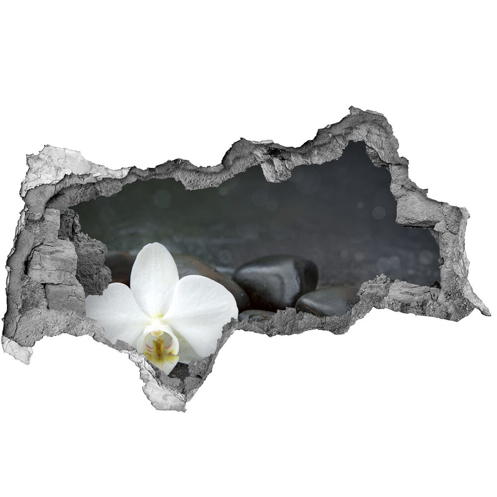 Samolepiaca nálepka fototapeta Orchidea