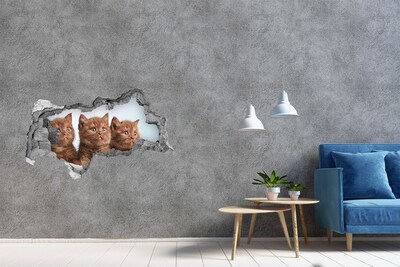 Diera 3D fototapeta na stenu Mačky na uterák