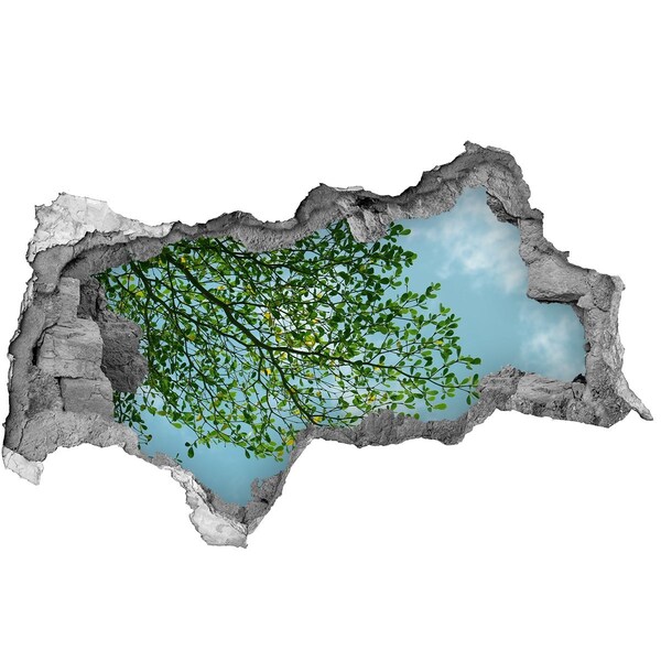 Diera 3D v stene nálepka Zelené listy pod modrou oblohou