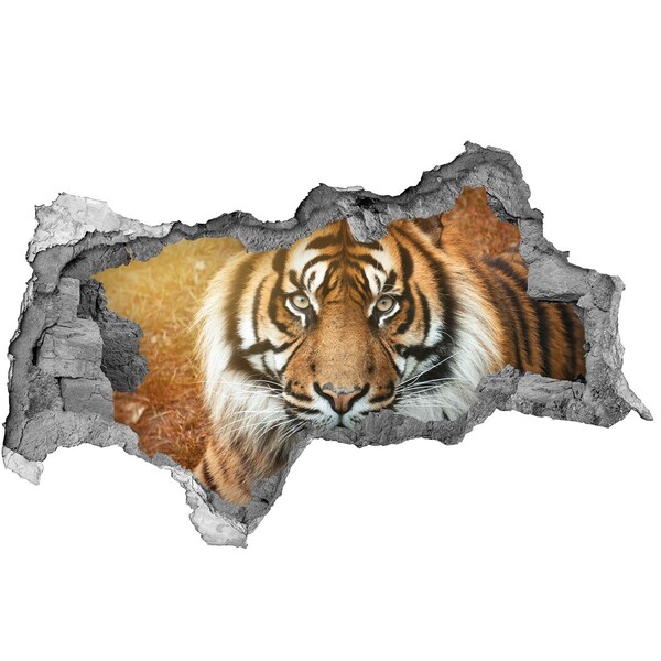 Diera 3D fototapeta na stenu Tiger v diere v stene