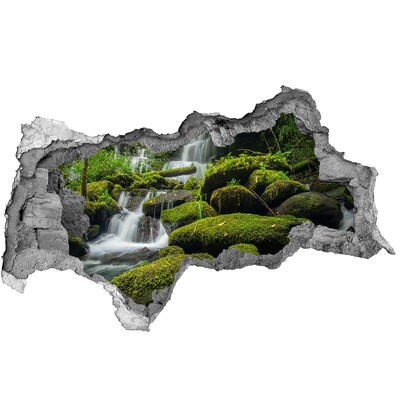 Diera 3D v stene na stenu Vodopád v lese