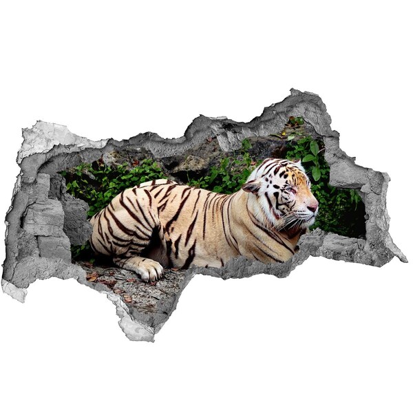 Fototapeta diera na stenu Tiger na skale