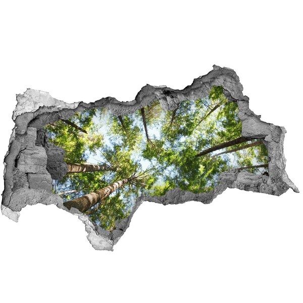 Diera 3D v stene na stenu Pohľad na les s modrou oblohou