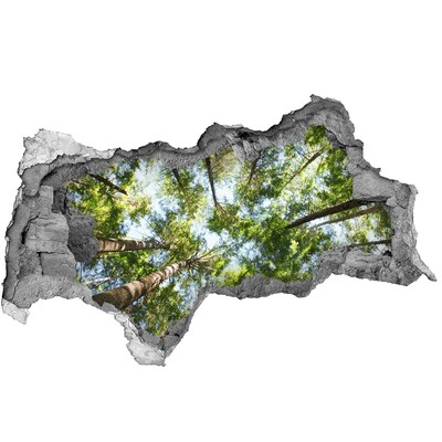 Diera 3D v stene na stenu Pohľad na les s modrou oblohou