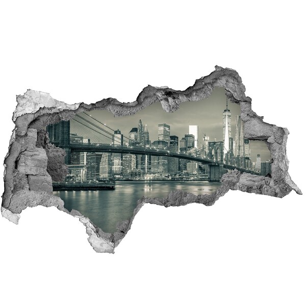 Fototapeta diera na stenu Pohľad na New York