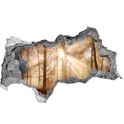 Diera 3D v stene nálepka Lesný priesmyk Slnka