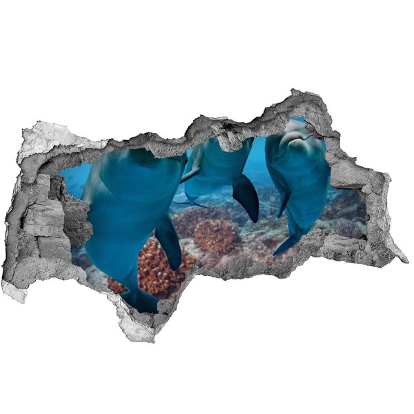 Fototapeta diera na stenu Delfíny v koralovom útese