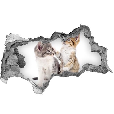 Diera 3D fototapeta nálepka Dve malé mačky
