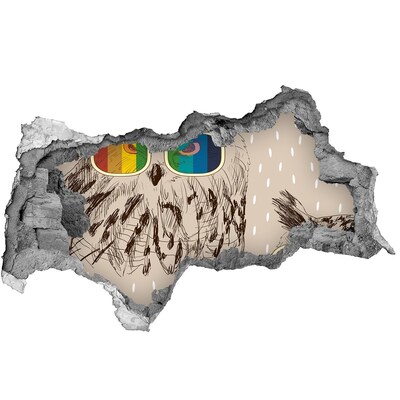 Diera 3D fototapeta nálepka Soví oko v diere v stene