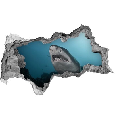 Diera 3D fototapeta nálepka Veľký žralok