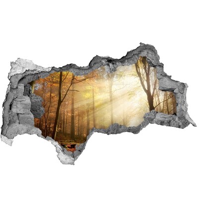 Diera 3D v stene na stenu Zlatý les v slnečných lúčoch