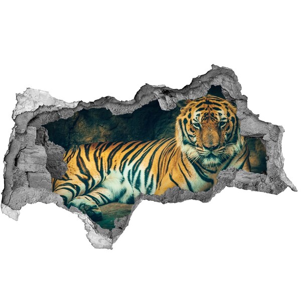 Diera 3D fototapeta nálepka Tiger v diere v stene
