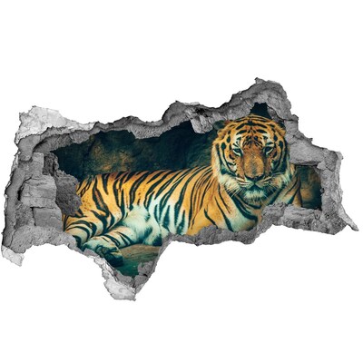Diera 3D fototapeta nálepka Tiger v diere v stene