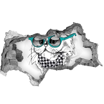 Diera 3D fototapeta nálepka Mačka s okuliarmi