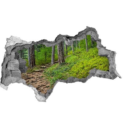 Diera 3D v stene nálepka Lesné dráha