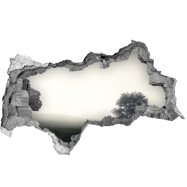 Diera 3D v stene nálepka Hmlistá čistinka s osamelým stromom