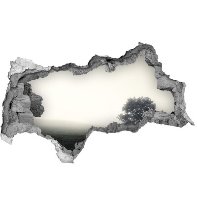 Diera 3D v stene nálepka Hmlistá čistinka s osamelým stromom