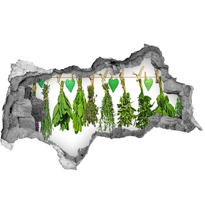 Samolepiaca nálepka na stenu Bylinková záhrada Diera v stene