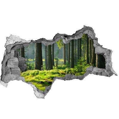 Diera 3D v stene na stenu Smrekový les