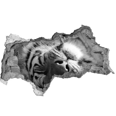 Diera 3D fototapeta nálepka Spiace tiger