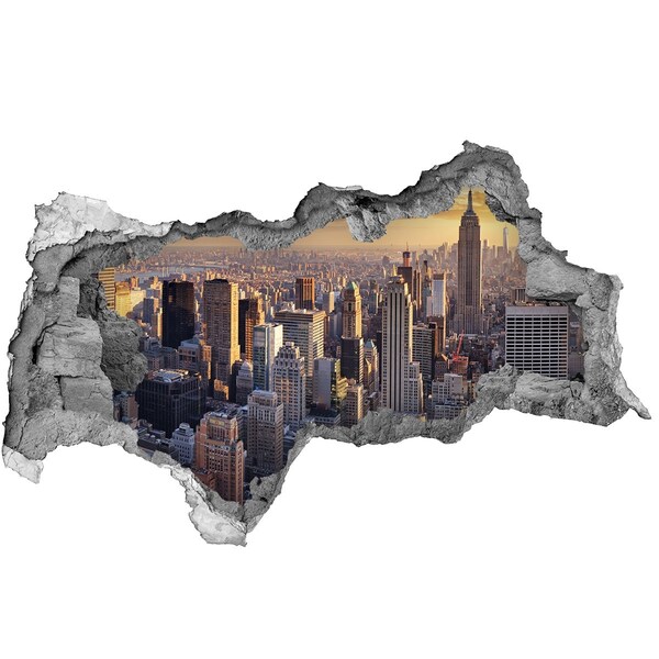 Fototapeta diera na stenu 3D New york letu vták