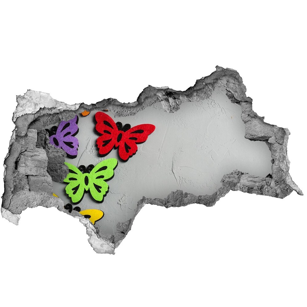 Diera 3D fototapeta nálepka Farební motýle