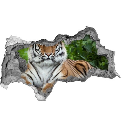 Diera 3D fototapeta nálepka Tiger v jeho prirodzenom prostredí