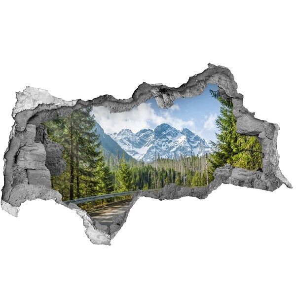 Diera 3D v stene nálepka Road tatry
