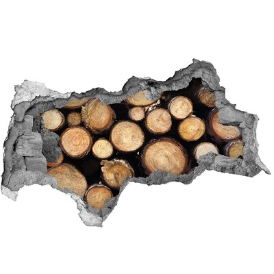 Samolepiaca nálepka na stenu Drevo v diere v stene