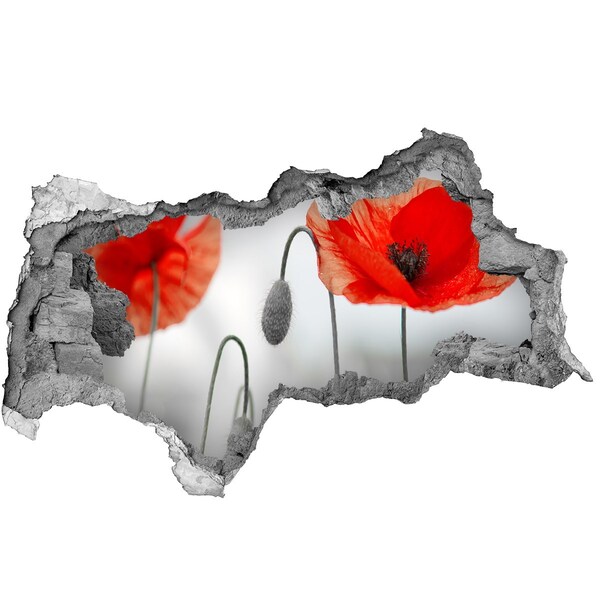 Samolepiaca nálepka na stenu fototapeta Kvety v diere v stene