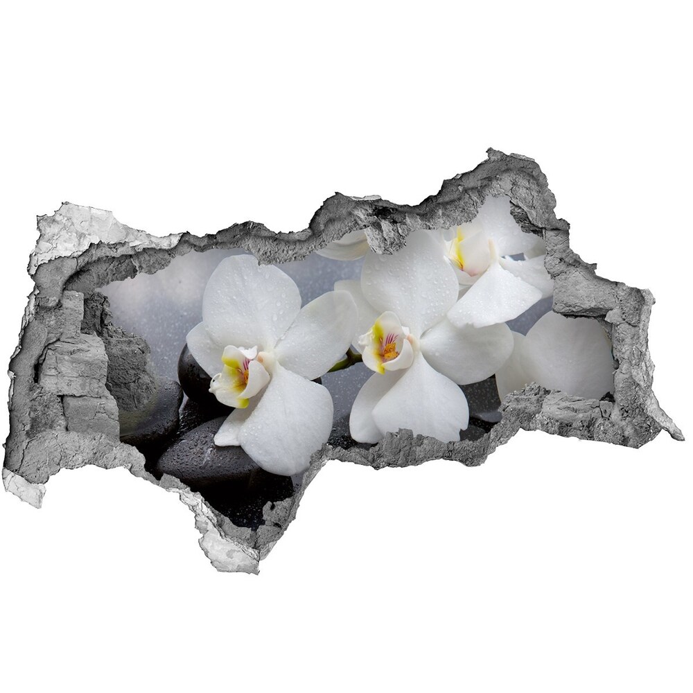 Samolepiaca nálepka fototapeta Orchidea