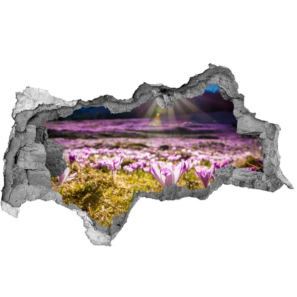 Diera 3D v stene nálepka Kvetinové pole na slnku