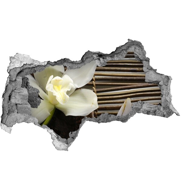 Fototapeta nálepka na stenu Kvetinová oáza medzi kameňmi