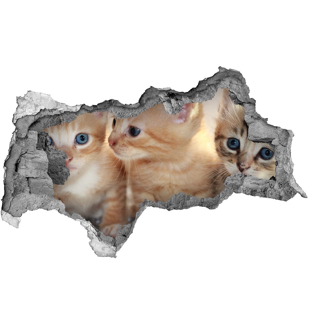 Diera 3D fototapeta nálepka Malé mačky