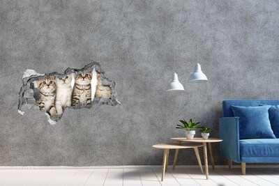 Diera 3D fototapeta nálepka Malé mačky