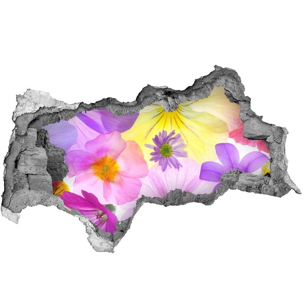 Samolepiaca nálepka fototapeta Kvetinový raj cez dieru v stene