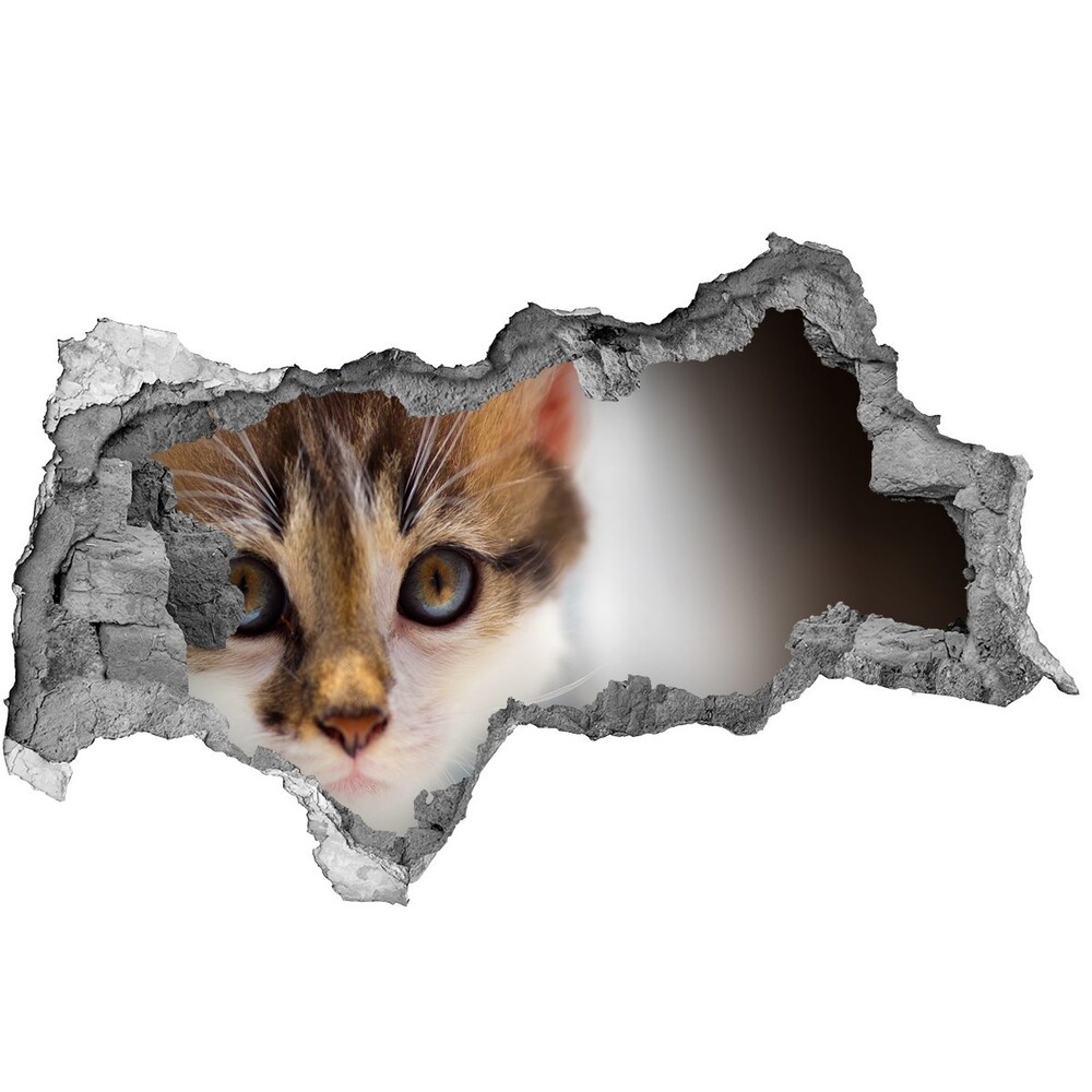 Diera 3D fototapeta nástenná Malá mačka nálepka