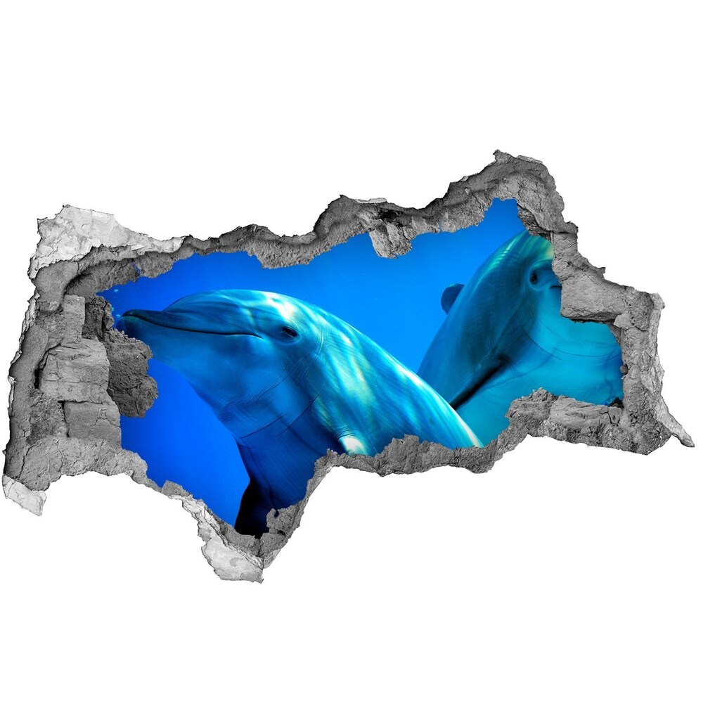 Diera 3D fototapeta nástenná Dva delfíny