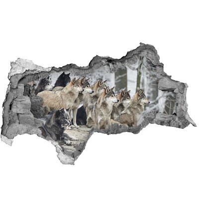 Diera 3D fototapeta nástenná Nálepka vlci v zime
