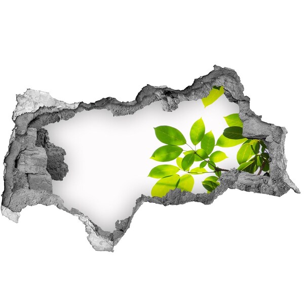 Samolepiaca nálepka fototapeta Zelená oáza za múrom